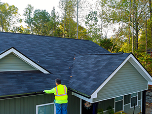 Professional Roofing Services